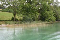 19-07-18_Teg_0050_Ga2_5271